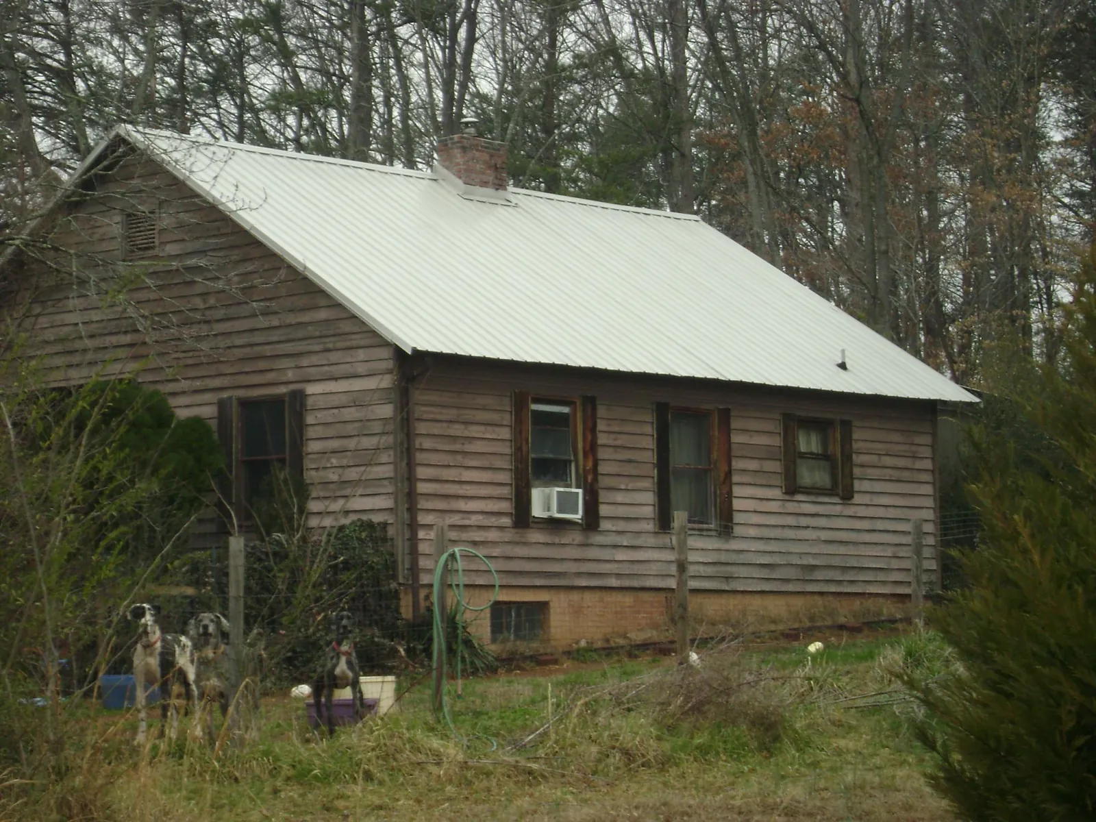 White metal roof on an old wood sided farmhouse in Hazelwood